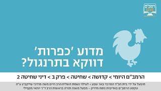 הרמב"ם היומי - שחיטה פרק ב