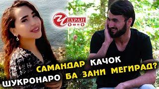 САМАНДАР ШУКРОНАРО БА ЗАНИ МЕГИРАД ?