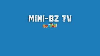 Pubblicità MINI SHOP