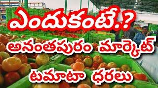 29-10-2024 today Anantapur tomato rates/ TODAY TOMATO MARKET PRICE / Today tomato price today Tomato