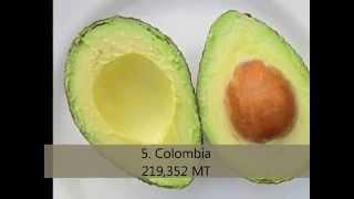 Top 10 Avocado producing countries
