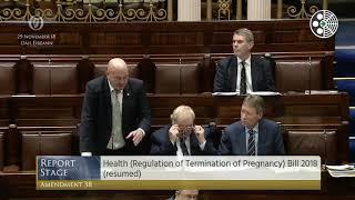 Deputy Kevin O'Keeffe - Government Business - 29.11.2018