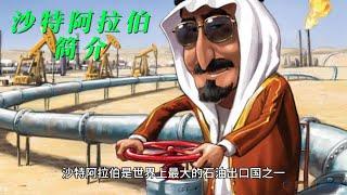 沙特阿拉伯（Kingdom of Saudi Arabia） 简介