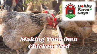 Making Your Own Chicken Feed - Including Our Basic Recipe!