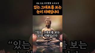 [지혜 명상] 있는 그대로를 바라보는 힘 | 부처님 말씀