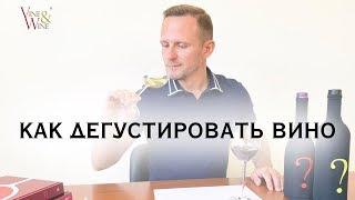 Как дегустировать вино