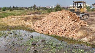 Amazing Landfill Technical.! Expert Bulldozer With Heavy Dump Trucks Processing