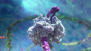 Using Genetic Engineering to Make Vaccines