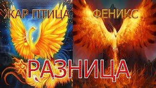 ЖАР ПТИЦА И ФЕНИКС. КАКАЯ МЕЖДУ НИМИ РАЗНИЦА?