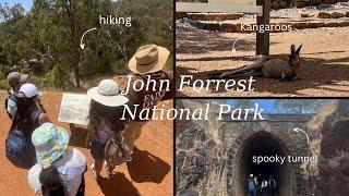 a day out at John Forrest national park