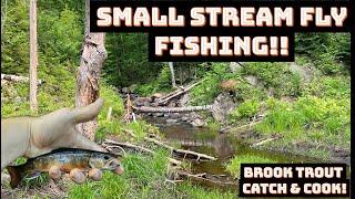 Small Stream Fly Fishing for Brook Trout | Catch and Cook