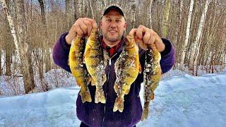 REMOTE NORTHERN LAKE!! FULL of JUMBO PERCH