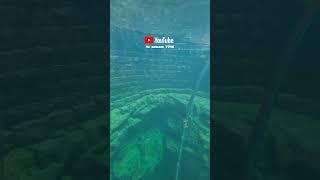 ️दिसला का मासा️ #kokan #kokani #viralvideo #lifestyle #vihir #youtubeshorts #mikokani7716