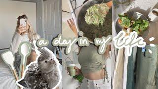 A DAY IN MY LIFE: Cockatiel morning routine, thrifting & cooking SARAHS DAY recipes