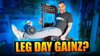 Leg Extension | Prone Leg Curl by Temple Of Gainz - Selectorized Home Gym Equipment