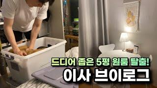 VLOG #2 ㅣ이사 브이로그 좁은 5평 원룸에서 드디어 투룸같은 1.5룸으로! 인테리어 소품 추천!