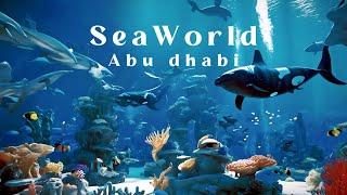 Seaworld Abu Dhabi | Yas Island