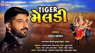 Tiger Meldi | ટાઈગર મેલડી | Gaman Santhal | Non Stop Songs