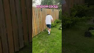 Когда косить траву? #canada #садоводничество #жизньвканаде