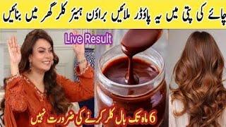 Dark brown hair colour chocolate brown colour at home grey coverage hair 100% result dark brown hair