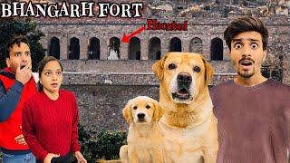 Trip To Bhangarh Fort With Leo & Reo | Most Haunted Place In India | Anant Rastogi