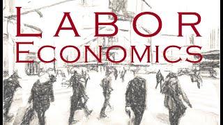 Labor Economics - Optimal Number of Workers and Profit Calculations