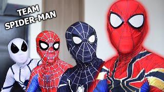 TEAM SPIDER-MAN vs BAD GUY TEAM | NEW GUY Is GOOD HERO ?? ( Live Action )