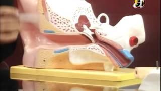 Avenues @ Health (Dr. Rabindra Pradhananga (ENT) Ear infection/Treatment)