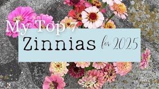 #44 Top 7 Zinnias to Grow for 2025 Varieties Heirloom Leaves and Seeds Planning Garden Gardening