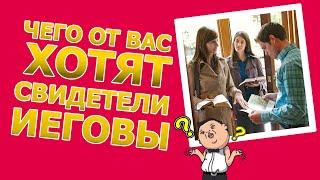 Чего от вас хотят Свидетели Иеговы?