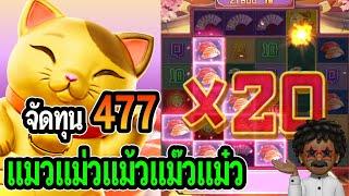 Lucky Neko : สล็อตpg จัดทุน 477 แมวแม่วแม้วแม๊วแม๋ว