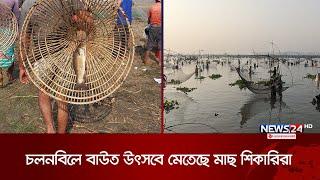 চলনবিলে 'বাউত উৎসবে' মেতেছে মাছ শিকারিরা | Pabna | Fish Festival in Pabna | News24