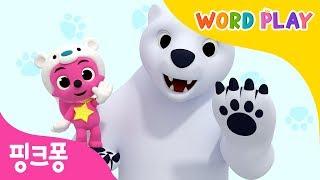 Polar Bear | 북극곰 | 핑크퐁과 노래하며 영어 단어를 배워요 | 워드플레이 | 영어율동동요 |핑크퐁! 인기동요