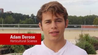 Horticultural Science Fall Rooftop Planting