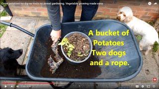 Grow potatoes no dig no tools no sweat gardening. Vegetable growing made easy.