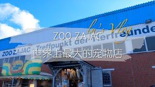 世界上最大的宠物店？【德国杜伊斯堡Duisburg Zoo Zajac】介里有猫有狗有蛇有猴子有树懒有青蛙有蜥蜴有鳄鱼有兔子有荷兰猪！啥都有！