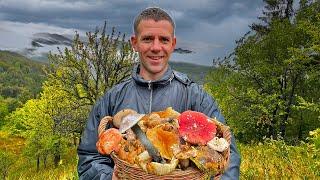 Mushrooms! Picked a big basket of mushrooms! Life in the Ukranian village!