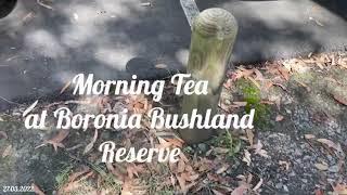 AMVCQ Boronia Bushland and Wyaralong Dam run 27 March 2022