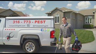 Residential Pest Control Service with Maximum Pest Management