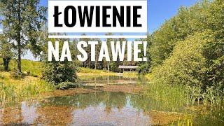 ŁOWIENIE NA MOIM STAWIE!!!