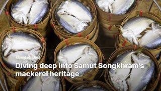 Diving deep into Samut Songkhram's mackerel heritage