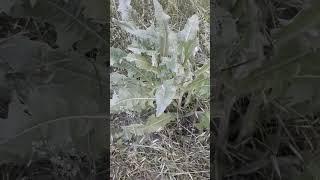 Притча о времени.Продолжение