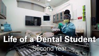 Life of a Second Year Dental Student - Claudie