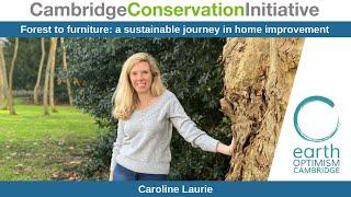 Forest to furniture: a sustainable journey in home improvement - Caroline Laurie