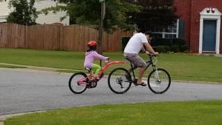 The WeeRide Co-Pilot Bike Trailer.