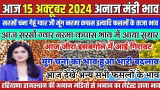 अनाज मंडी भाव|15 Nov 2024 आज सरसों ग्वार नरमा कपास भाव में सुधार| जानिए सभी फसलों के भाव| Mandi Bhav