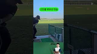 고인물 로브샷 연습 #로브샷 #골프고인물 #숏게임