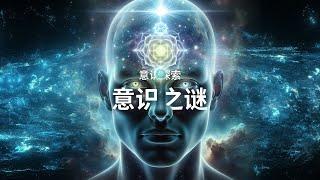 最不可思议的，意识到底是怎么来的？｜神经科学