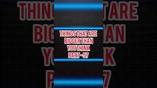 Things That Are Bigger Than You Think  #thingsthatarebiggerthanyouthink  #justvideo