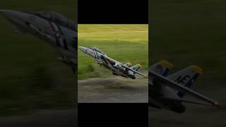 F-14D Super Tomcat High Alpha Pass #aviation #rc #rcplane